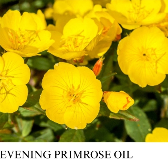 Kiehl's Avocado Nourishing Hydration Mask 0.88 oz. (25 g) - Picture 9 of 11